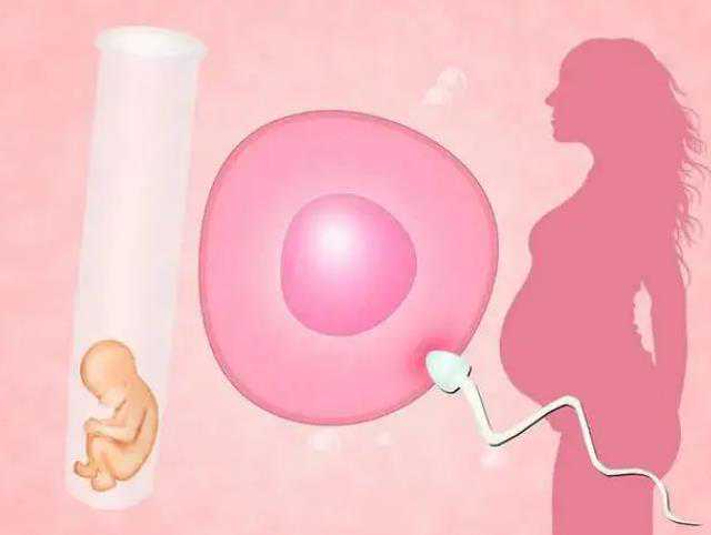 找捐卵代怀哪里有_代怀孩子哪家优惠,做“试管婴儿”需要几个步骤？小鼠实验